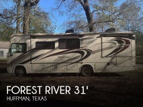 2017 Forest River Georgetown